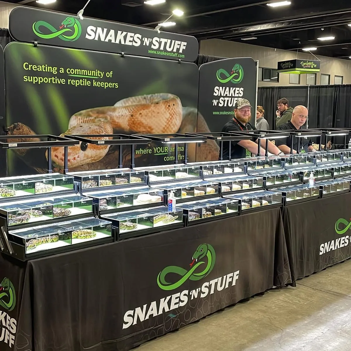 Long rows of labelled deli cups on a breeder's table under a snake banner