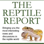 The Reptile Report logo